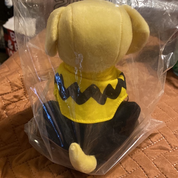 Raising Cane’s | 2021 Charlie Brown - Limited Edition Plush - Picture 2 of 4